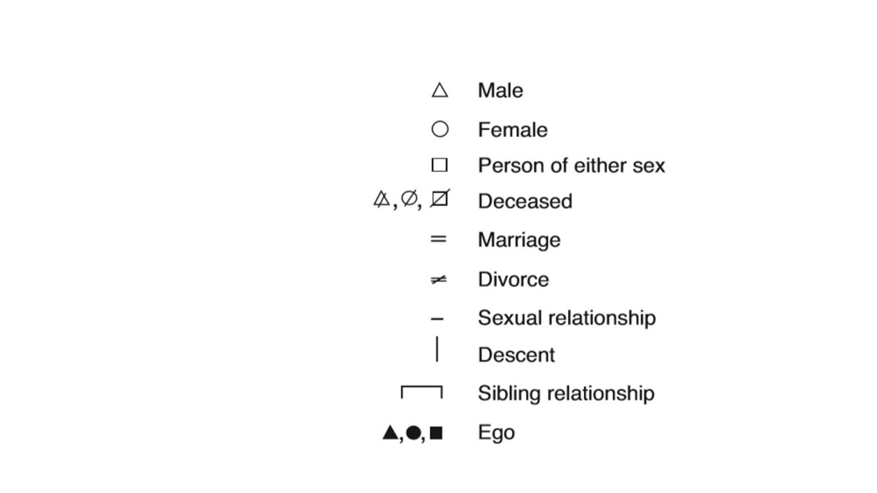 Social Structures Kinship and Marriage An Introduction to