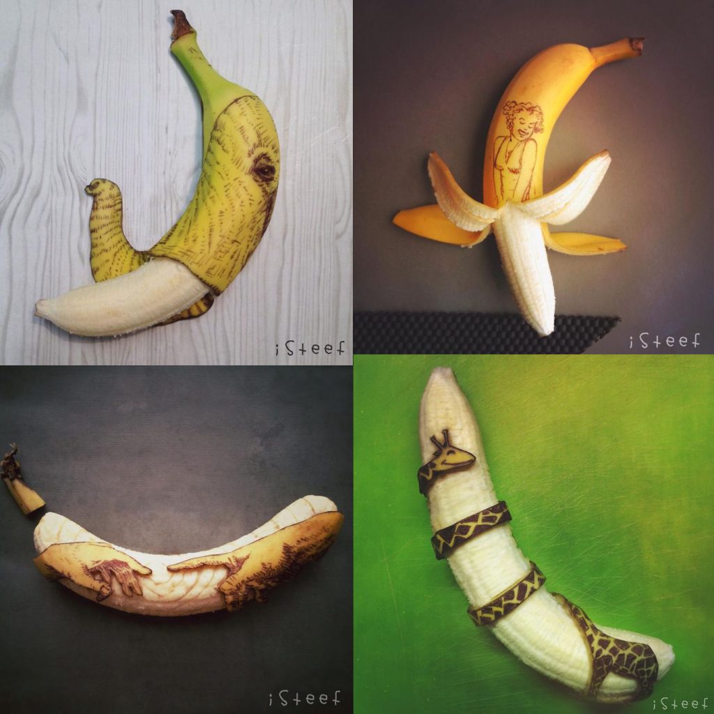 Domestication An Introduction to Anthropology the Biological and