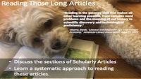 Reading Long Articles Lecture