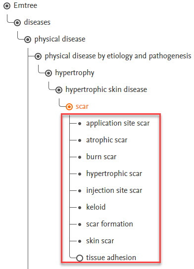 A screenshot shows the position of the narrower headings included in a search when the "scar" heading is exploded.
