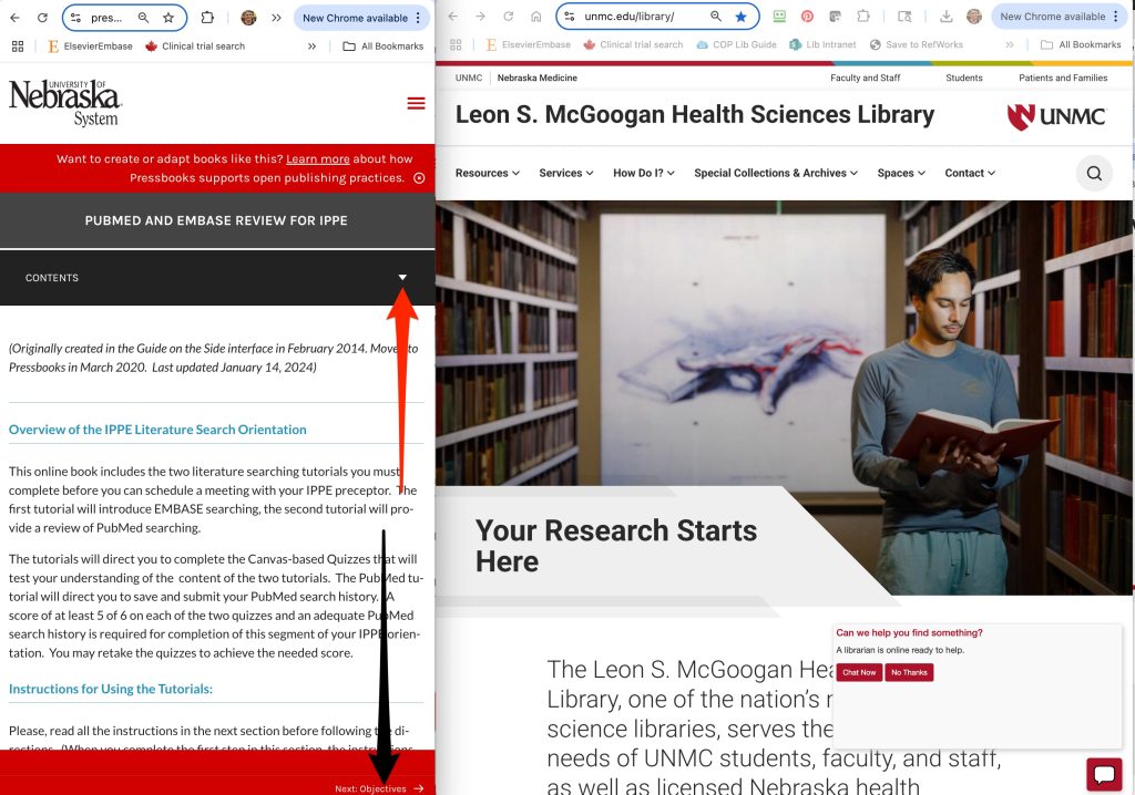 A screenshot shows the resized instruction window and the resized McGoogan homepage window next to each other.