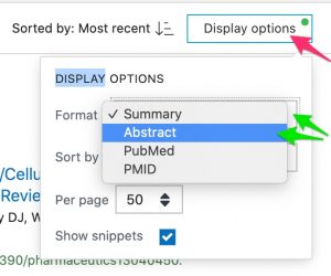 A screenshot showing the "Display Options" button and the "Format" menu that appears after one click on the "Display options" button.