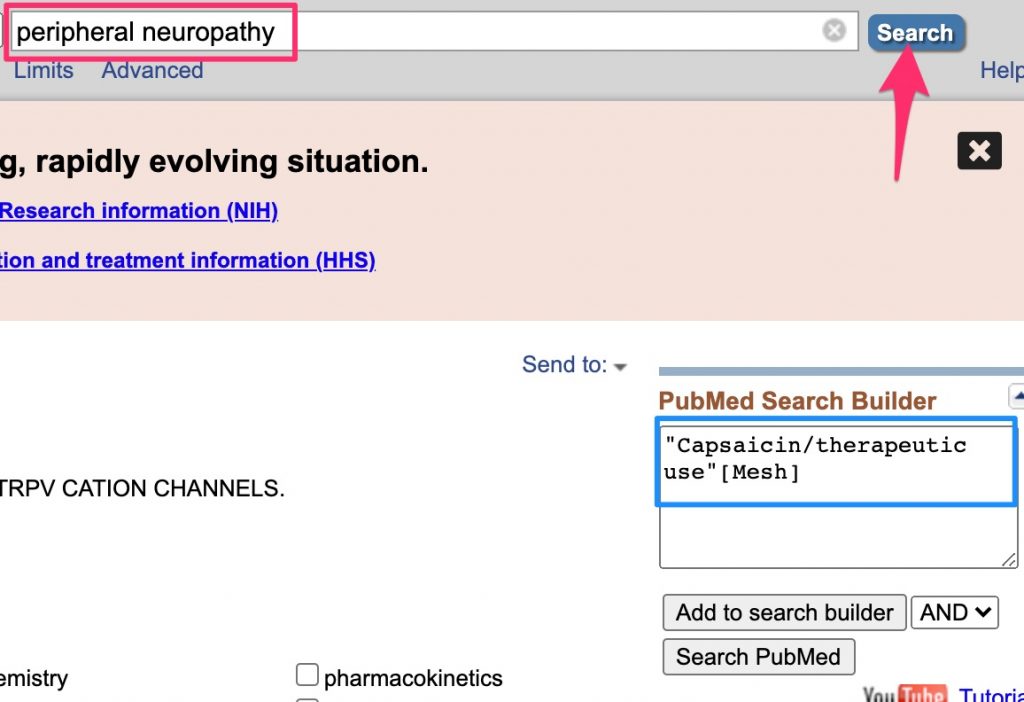 A screenshot shows the location of the formatted capsaicin-subheading combination in the PubMed Search Builder.