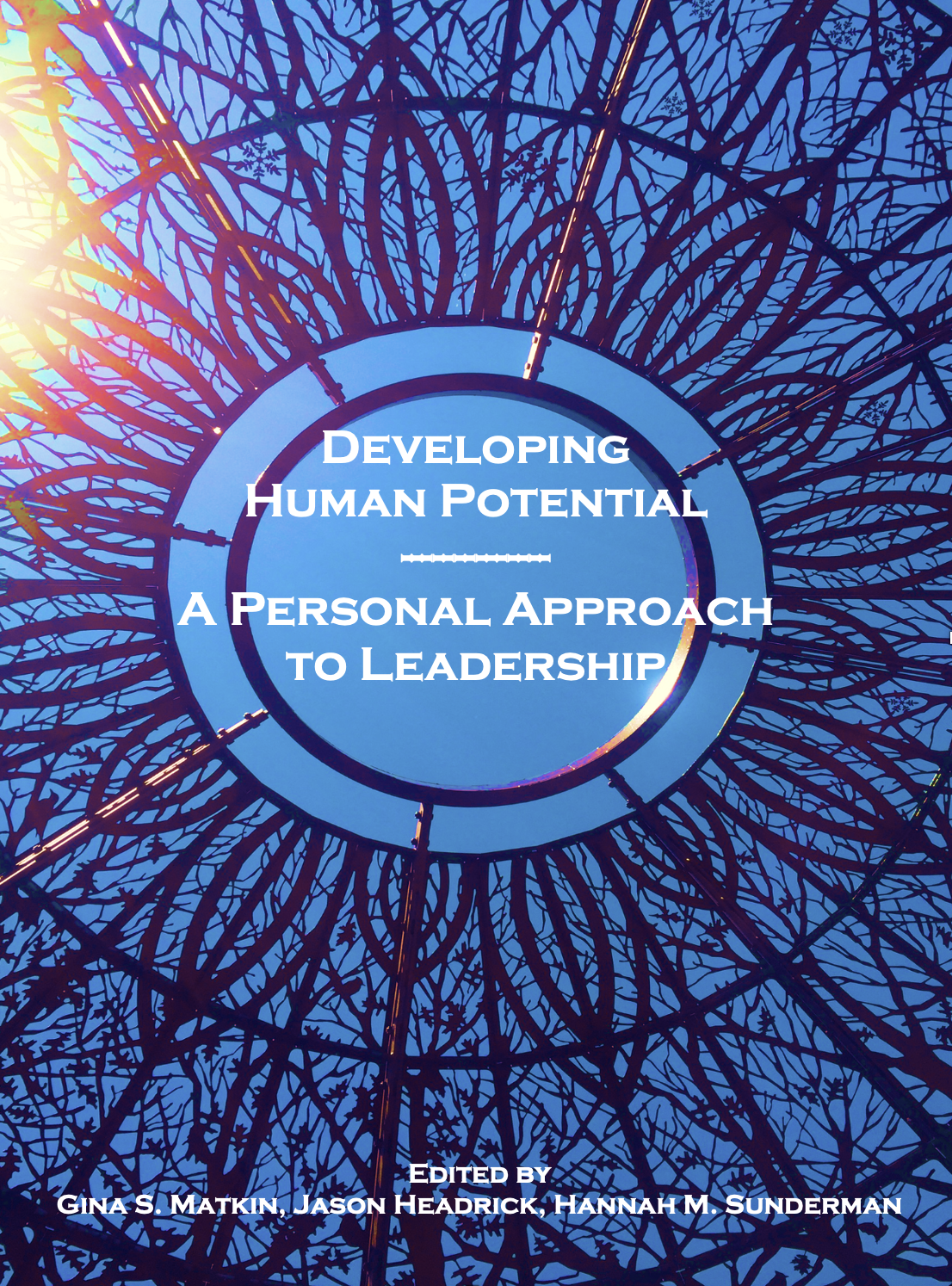 Cover image for Developing Human Potential