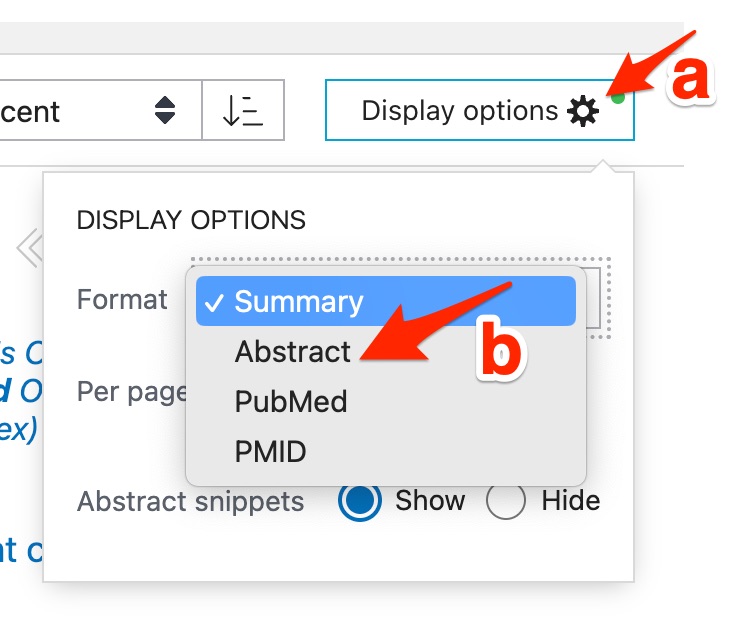 A screenshot shows the position of the "Display options" button and selection of the "Abstract" format.