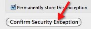 A screenshot of a "Confirm Security Exception" button.