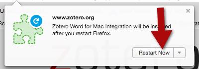 connecting docear with zotero