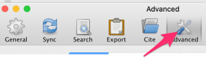 A screenshot of the "Advanced" icon at the top of the Zotero "Preferences" box.