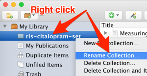 A screenshot shows that right-clicking a folder/collection makes it possible to select "Rename Collection"