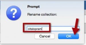 A screenshot of the prompt that appears for "rename collection"