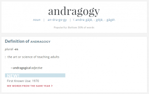 androgogy definition