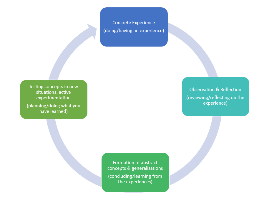 Kolb's theory image- concrete experience,observation and reflection, formation of abstract concepts and generalizations, and testing concepts in new situations, active exploration.