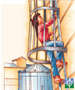 Cartoon of person climbing ladder attached to grain bin.