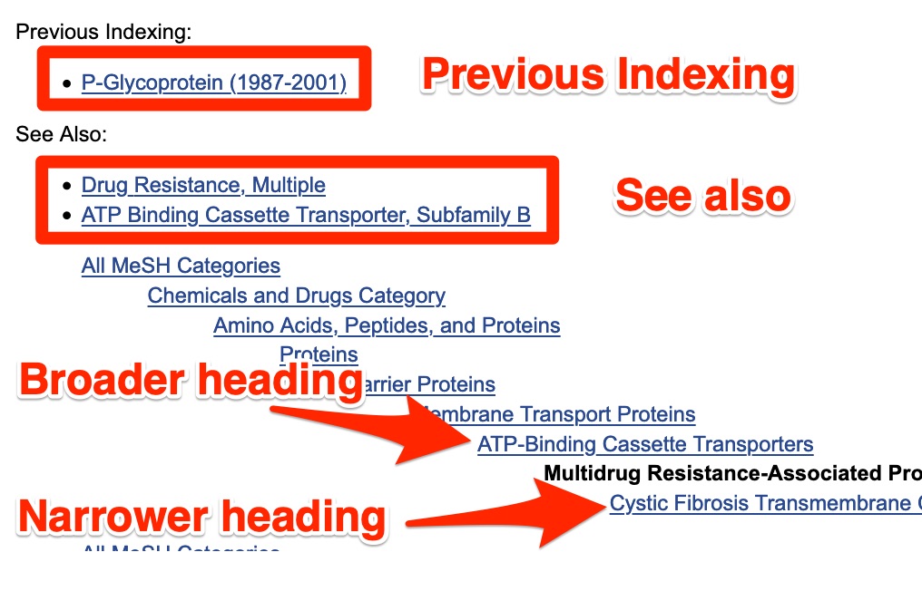 A screenshot shows the position of "previous indexing", "see also", broader headings, and narrower headings in the record for a MeSH heading.