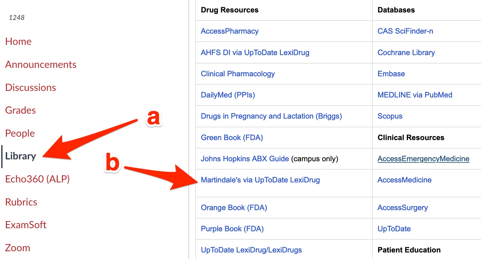 A screenshot of the "Library" link in Canvas and the "Martindale via UpToDate LexiDrug" link.