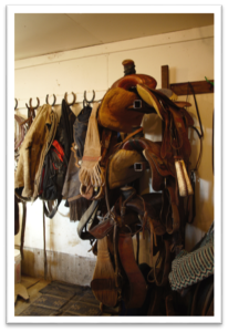 Saddle, bridles, etc hanging in a barn.