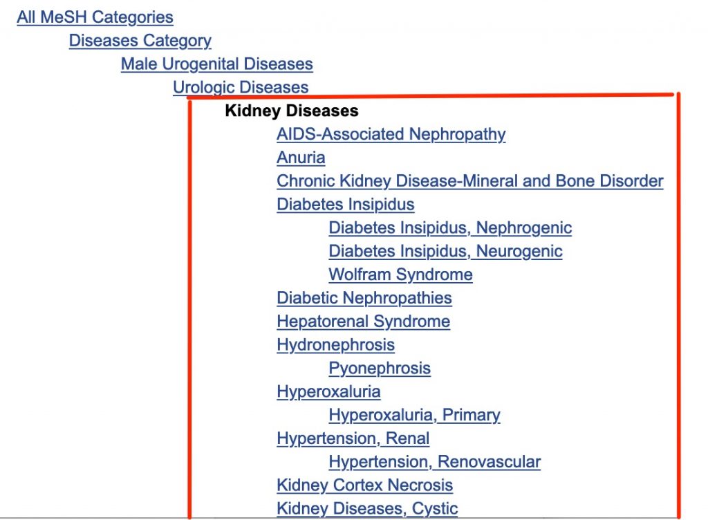 A screenshot shows one of the "Kidney Diseases" trees an open box surrounds the headings that will be retrieved by a search for "kidney diseases"