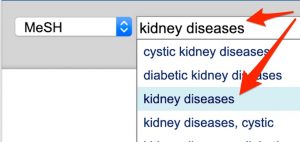 A screenshot shows the MeSH search for -- kidney diseases. The -- kidney diseases -- option that appears under the search box has been selected.