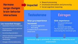 Cognitive changes during online puberty