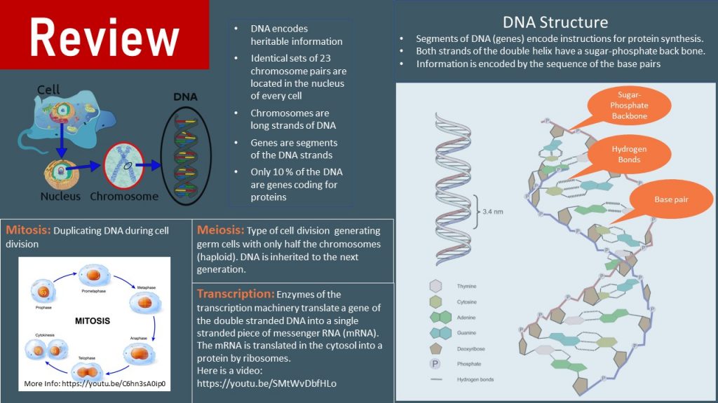 Epigenetics: A Healthy Life Starts Earlier Than You Think – Nutrition ...