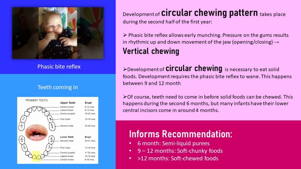 Growth and Development During the First Year of Life – Nutrition ...