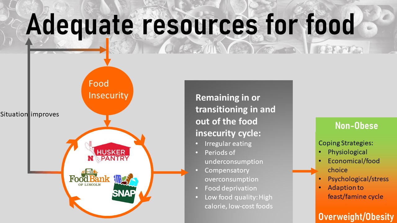 Accelerating Obesity: Food Insecurity – Nutrition Through The Life Cycle