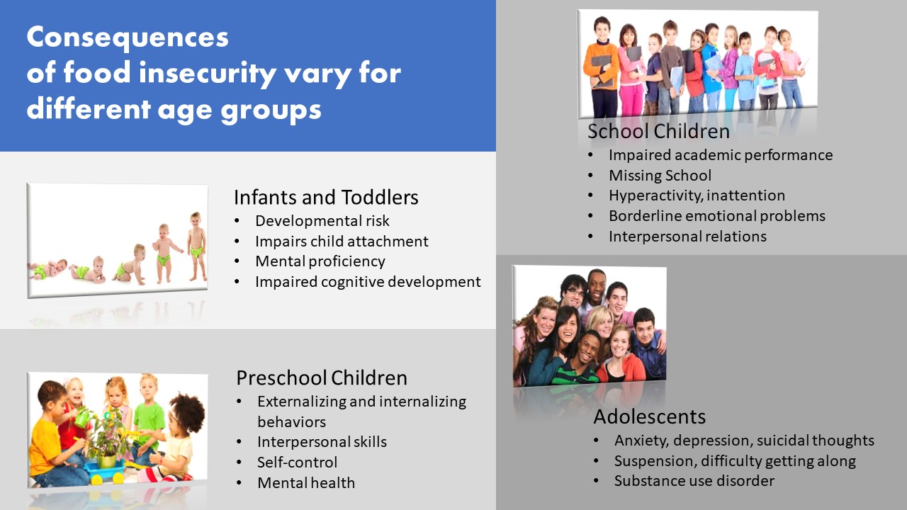 Accelerating Obesity: Food Insecurity – Nutrition Through The Life Cycle