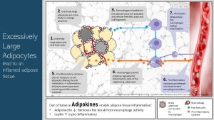 Infographic visually summarizing text below