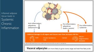 Infographic visually summarizing text below