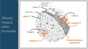 Infographic visually summarizing text below