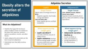 Infographic visually summarizing text below