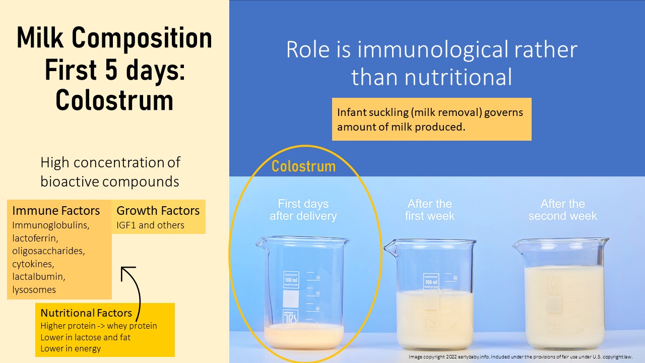 Human Milk Is More Than Nutrition For Infants – Nutrition Through the ...