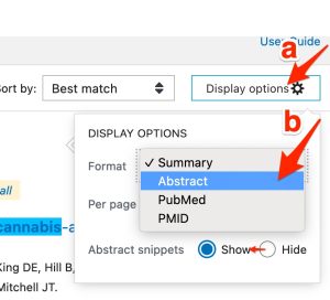 A screenshot shows the position of the "Display options" button and the "format" menu with "abstract" option that appears after clicking the "Display options" button.