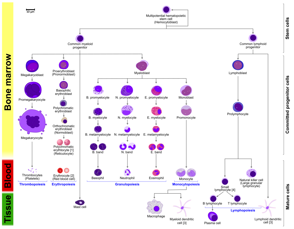 2. Introducing the final search assignment. – Introduction to Drug ...