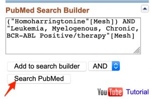Screenshot of the "PubMed Search Builder". Both formatted search headings are present.