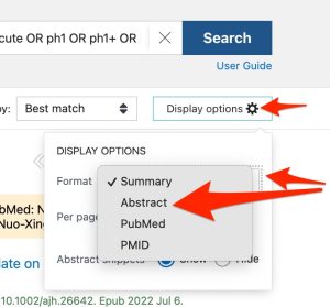 A screenshot shows the "Display Options" button and the "abstract" option.